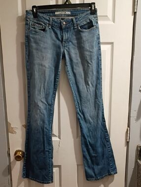 Joe's Jeans Light Blue Flare Jeans